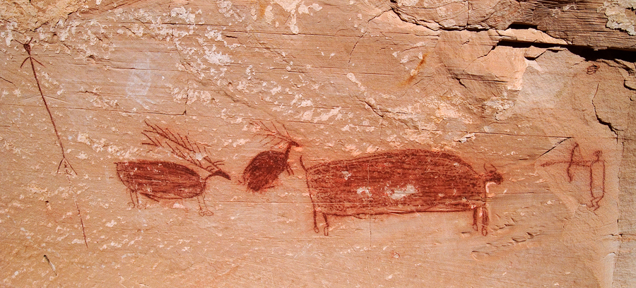 bison hunt