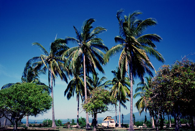 cocos camp