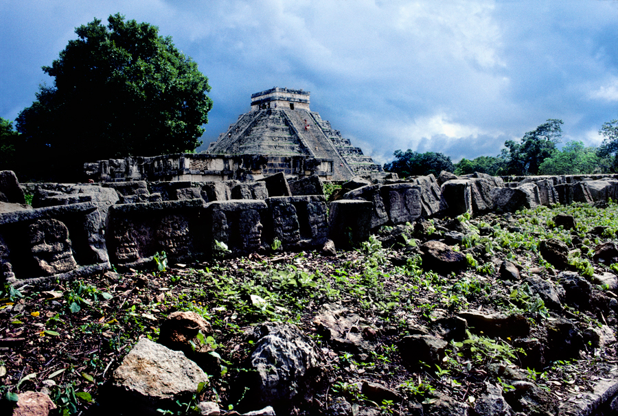 maya garden