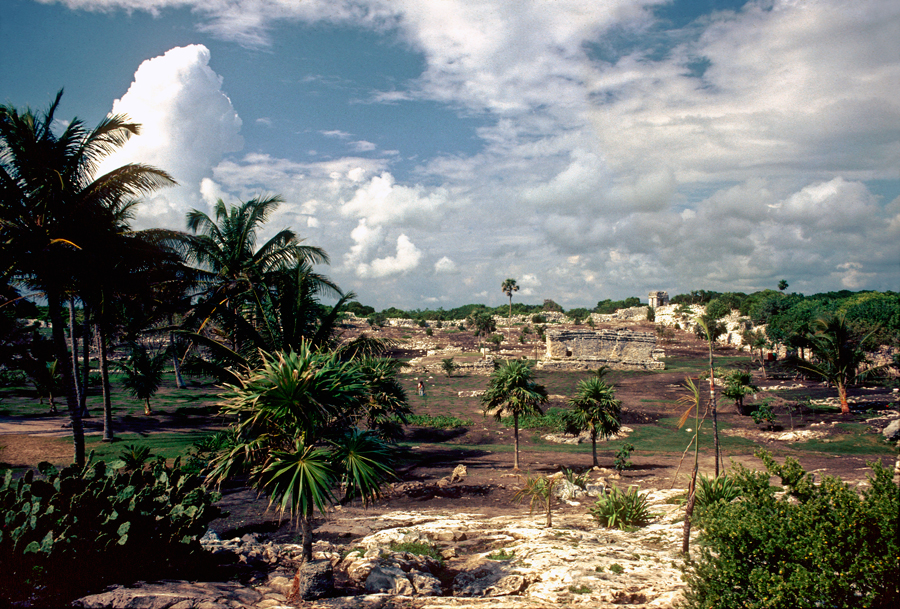 wide view of tulum