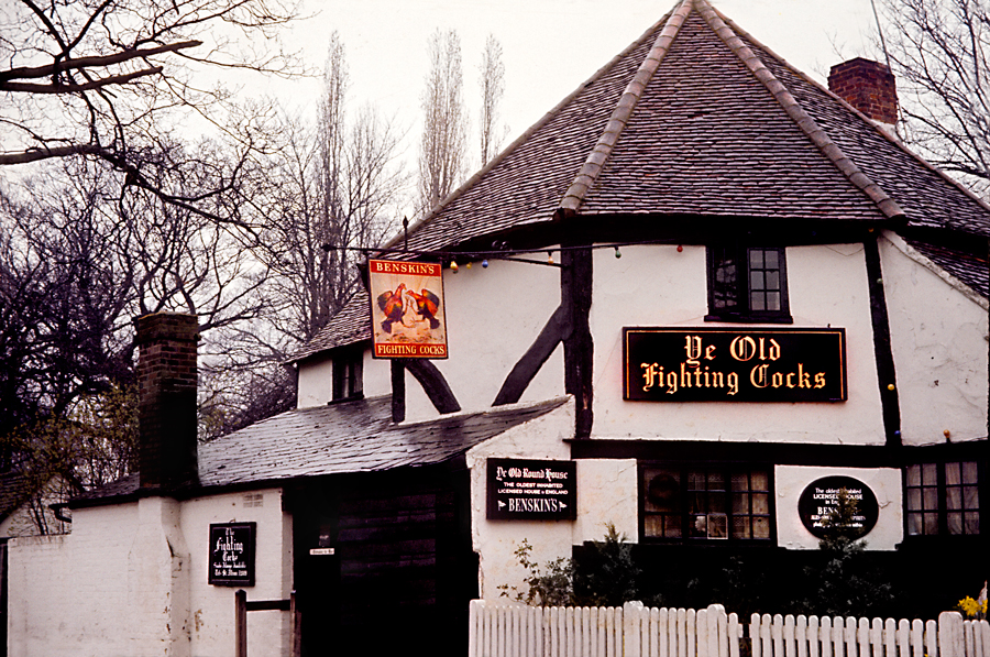 ye old fighting cocks