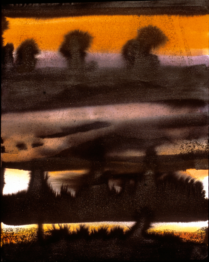southwest silhouette
